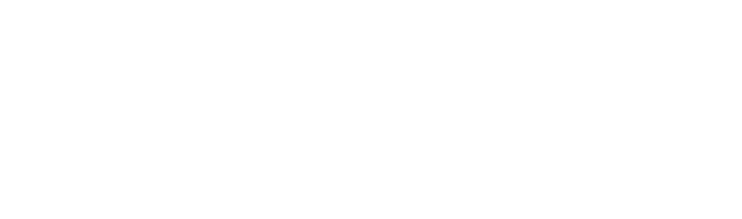 ZIZO