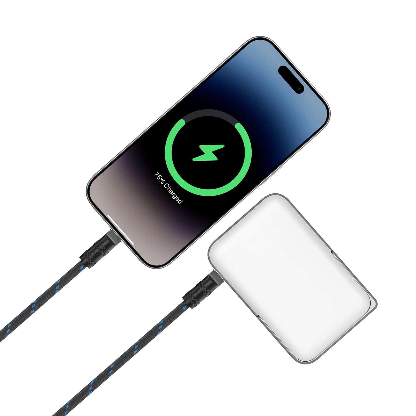 ZIZO PowerVault Link+ Lanyard USB-C Cable
